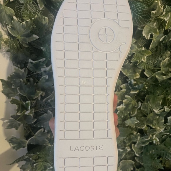 Brand New Lacoste shoe - Picture 5 of 5